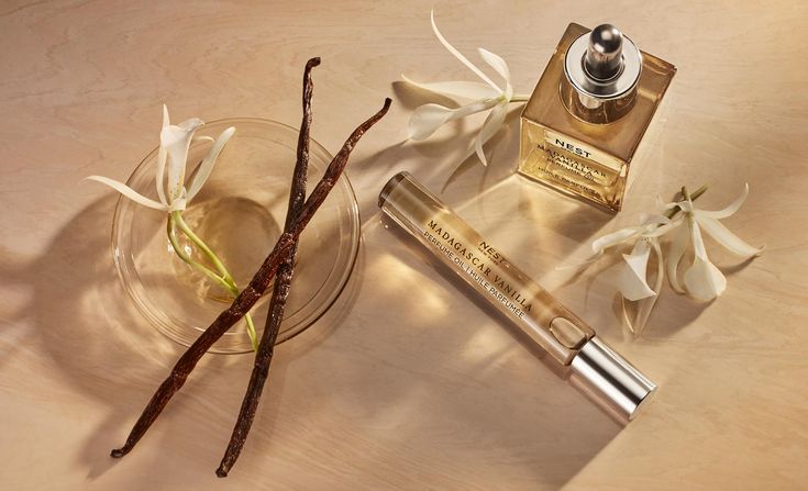 Best Perfumes for Everyday Use